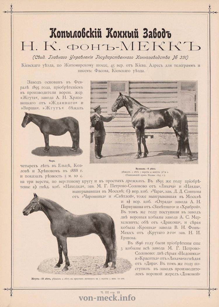 НКфМ Киеская сельско хозяистенная и промышленная ыстака 1897 года и ее участники.small